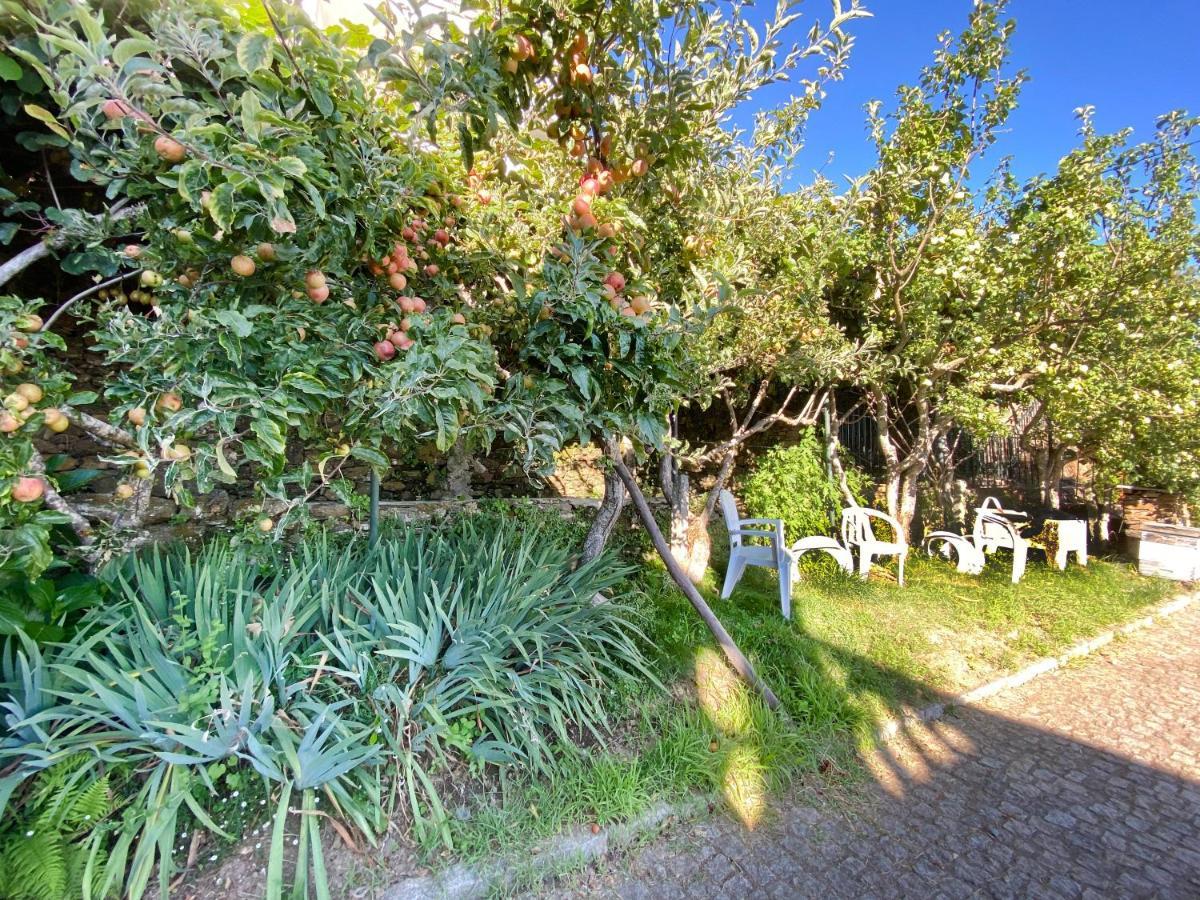 Ferienwohnung Casa Da Risca Unhais Da Serra Exterior foto
